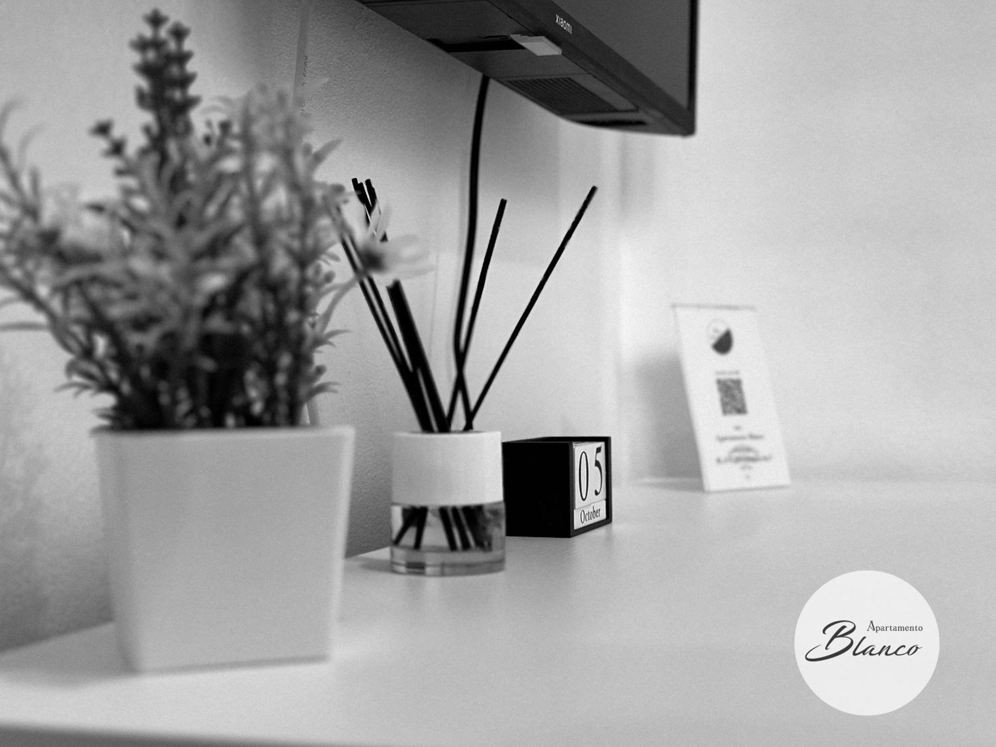 Apartamentos Blanco & Negro Таріфа Екстер'єр фото